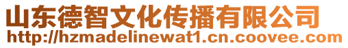 山東德智文化傳播有限公司