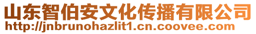 山東智伯安文化傳播有限公司