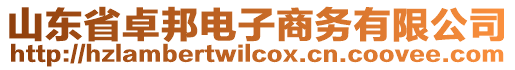 山東省卓邦電子商務(wù)有限公司