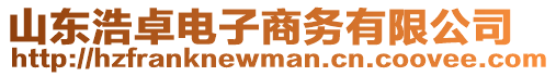 山東浩卓電子商務(wù)有限公司