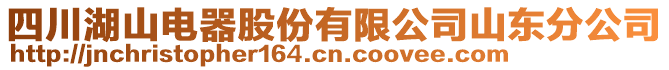 四川湖山電器股份有限公司山東分公司