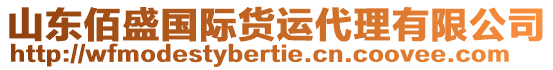 山東佰盛國際貨運(yùn)代理有限公司