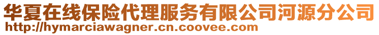 華夏在線保險(xiǎn)代理服務(wù)有限公司河源分公司