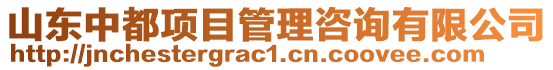 山東中都項目管理咨詢有限公司