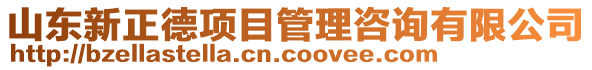 山東新正德項目管理咨詢有限公司