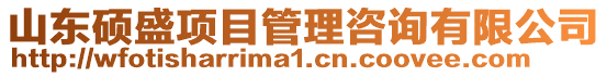 山東碩盛項目管理咨詢有限公司