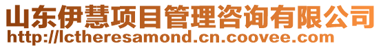 山東伊慧項(xiàng)目管理咨詢有限公司