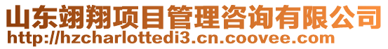 山東翊翔項目管理咨詢有限公司