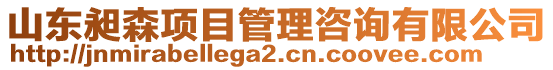 山東昶森項目管理咨詢有限公司