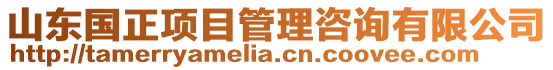 山東國正項目管理咨詢有限公司