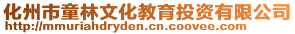 化州市童林文化教育投資有限公司