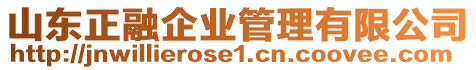 山東正融企業(yè)管理有限公司