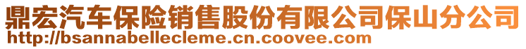 鼎宏汽車保險銷售股份有限公司保山分公司