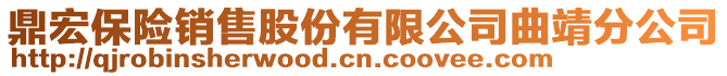 鼎宏保險銷售股份有限公司曲靖分公司