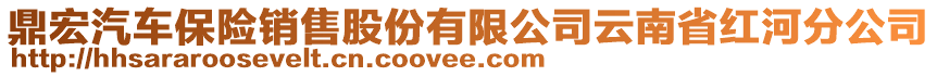 鼎宏汽車保險(xiǎn)銷售股份有限公司云南省紅河分公司