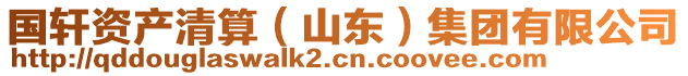 國軒資產(chǎn)清算（山東）集團(tuán)有限公司