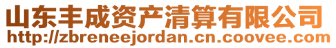 山東豐成資產(chǎn)清算有限公司