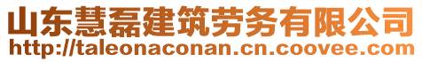 山東慧磊建筑勞務(wù)有限公司