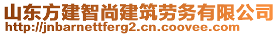 山東方建智尚建筑勞務(wù)有限公司