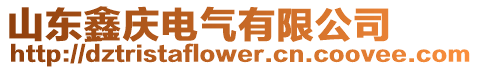 山東鑫慶電氣有限公司