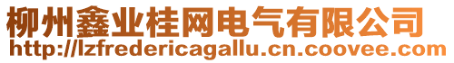 柳州鑫業(yè)桂網(wǎng)電氣有限公司