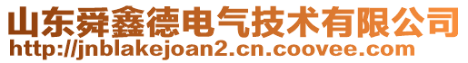 山東舜鑫德電氣技術(shù)有限公司