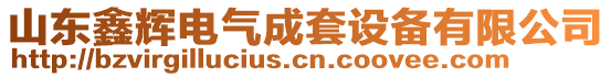 山東鑫輝電氣成套設備有限公司