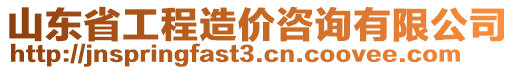 山東省工程造價(jià)咨詢有限公司