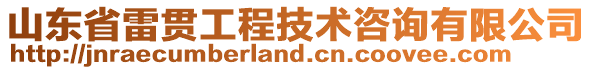 山東省雷貫工程技術(shù)咨詢(xún)有限公司