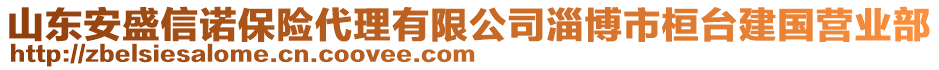 山東安盛信諾保險代理有限公司淄博市桓臺建國營業(yè)部