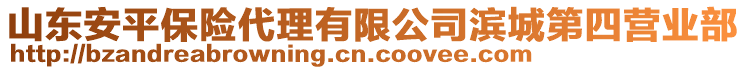 山東安平保險代理有限公司濱城第四營業(yè)部