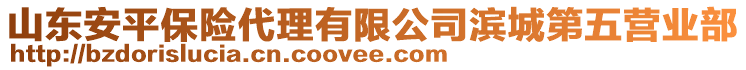 山東安平保險代理有限公司濱城第五營業(yè)部