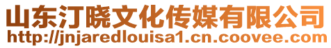 山東汀曉文化傳媒有限公司