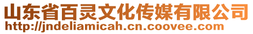 山東省百靈文化傳媒有限公司