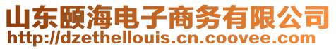 山東頤海電子商務有限公司