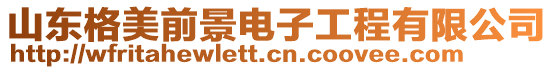 山東格美前景電子工程有限公司