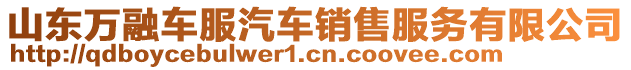 山東萬融車服汽車銷售服務有限公司