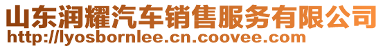 山東潤(rùn)耀汽車銷售服務(wù)有限公司