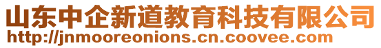 山東中企新道教育科技有限公司