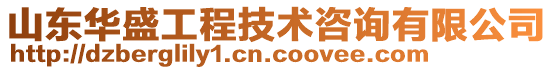 山東華盛工程技術咨詢有限公司