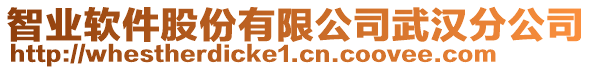 智業(yè)軟件股份有限公司武漢分公司