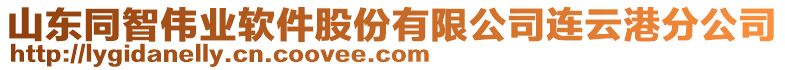 山東同智偉業(yè)軟件股份有限公司連云港分公司