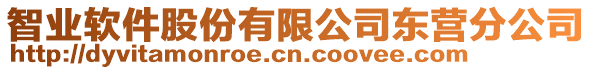 智業(yè)軟件股份有限公司東營分公司