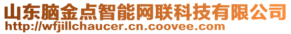 山東腦金點智能網(wǎng)聯(lián)科技有限公司