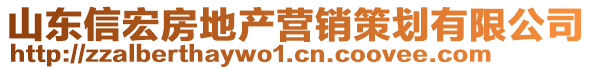 山東信宏房地產(chǎn)營銷策劃有限公司