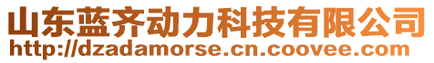 山東藍齊動力科技有限公司