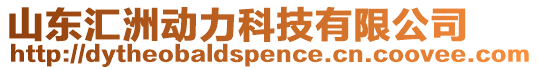 山東匯洲動力科技有限公司