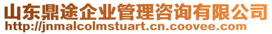 山東鼎途企業管理咨詢有限公司
