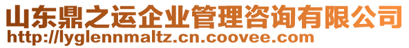 山東鼎之運(yùn)企業(yè)管理咨詢有限公司