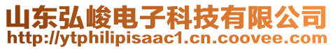 山東弘峻電子科技有限公司